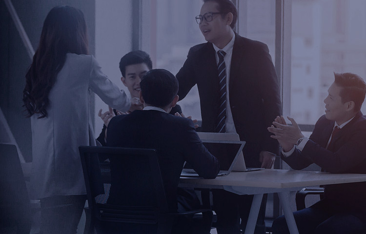 IT征询与规划服务