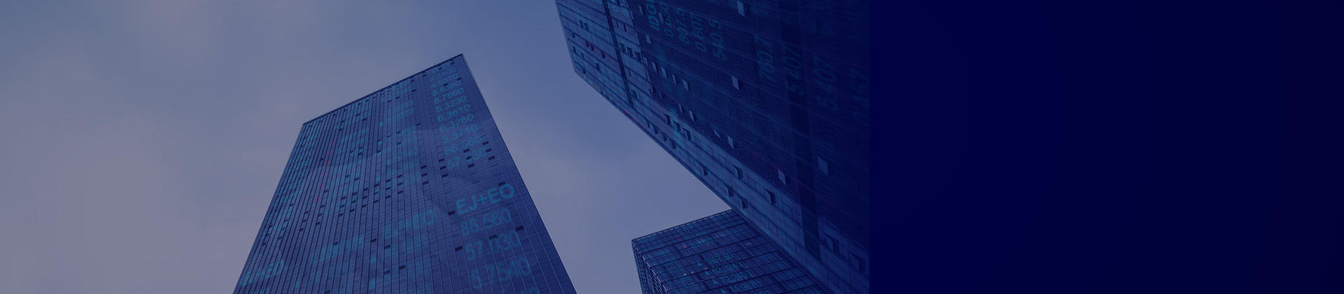 集团资金治理系统解决规划